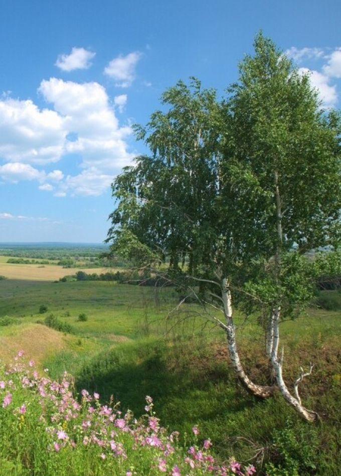 Великие достопримечательности родной земли. Цикл экскурсий