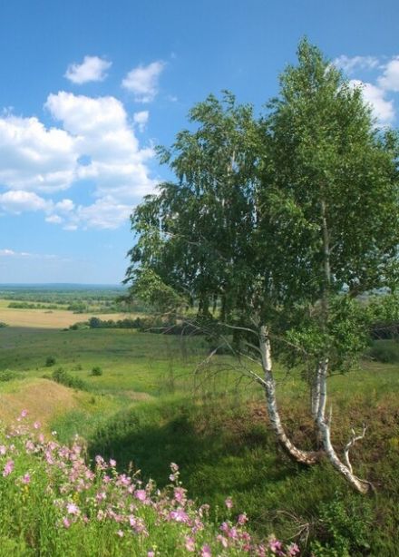 Великие достопримечательности родной земли. Цикл экскурсий